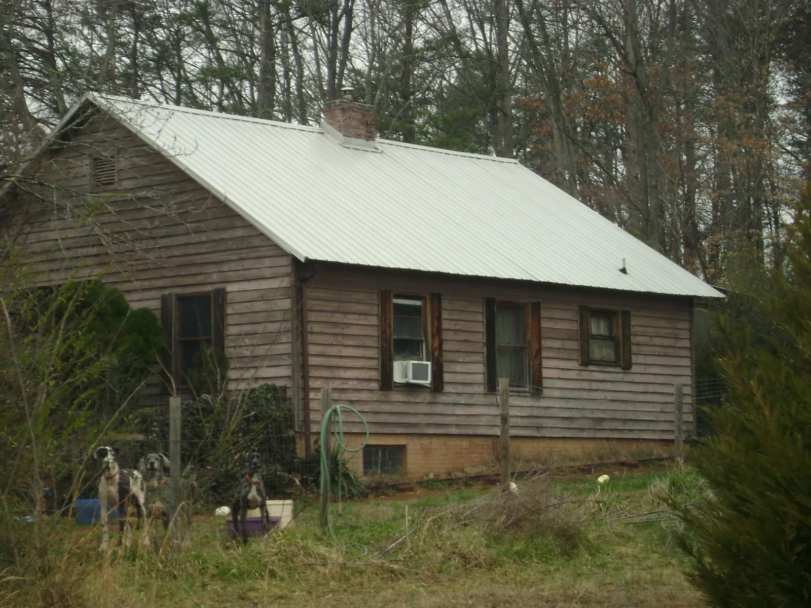 White metal roof on an old wood sided farmhouse, from a Asphalt Shingle Roof Repair job in Kingsland